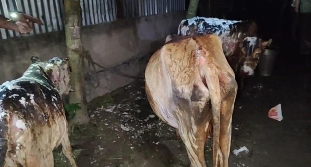 চেঙাৰ নিৰালাচৰত ভয়ংকৰ অগ্নিকাণ্ড। প্ৰায় তিনি লক্ষাধিক টকাৰ ক্ষয় ক্ষতি